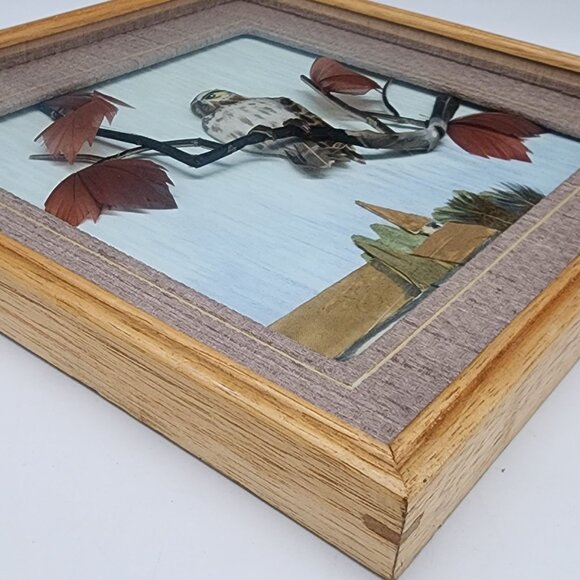 Vintage Bird Eagle Art Shadow Box Feathers Leaves Wooden Frame Nature Scene - Picture 11 of 12